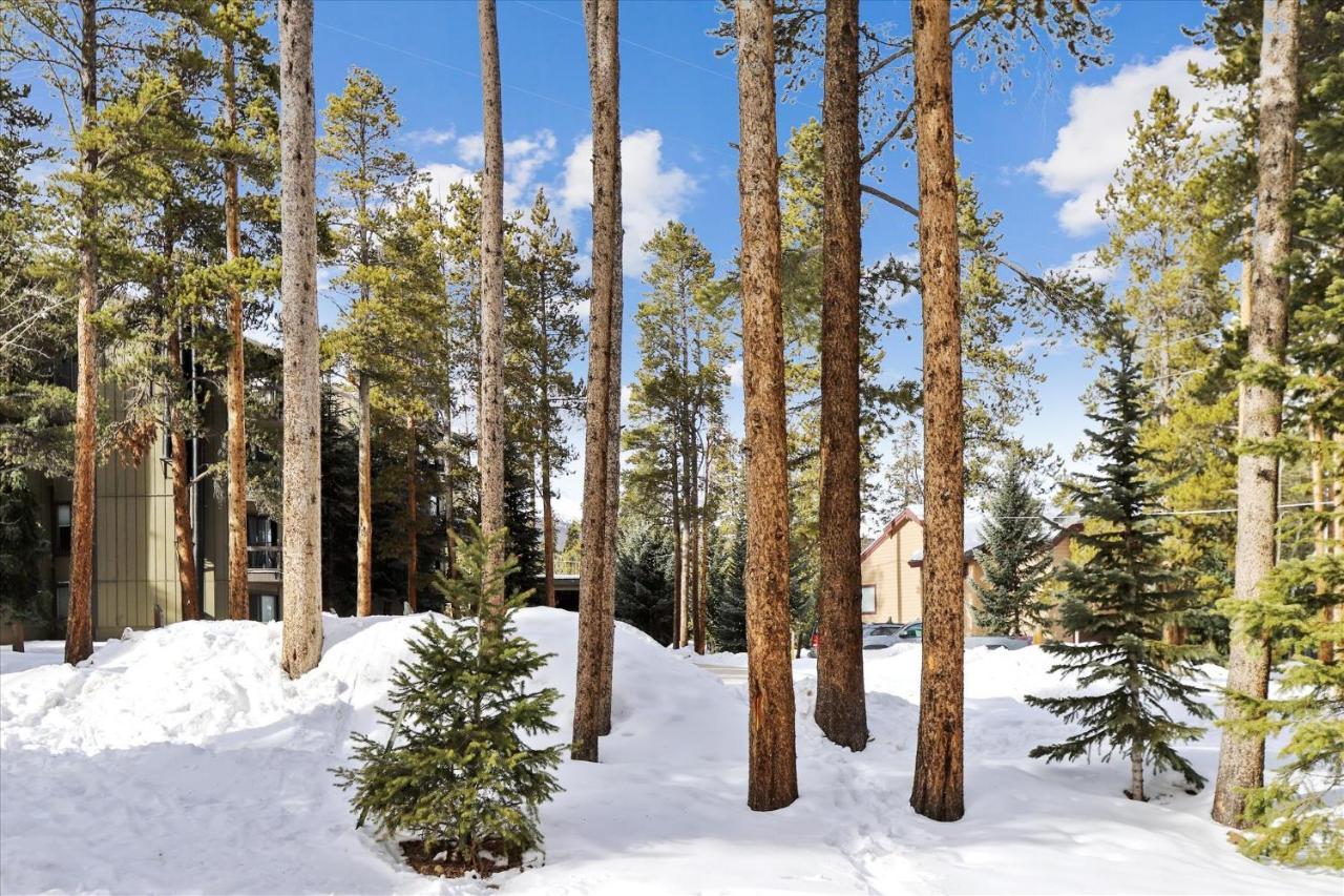 Park Forest Estates Breckenridge Buitenkant foto